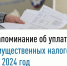 Напоминание об уплате имущественных налогов за 2024 год - Зианчуринский район